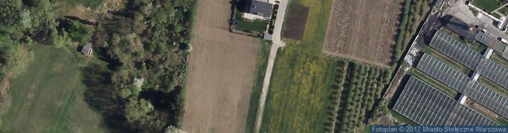 Zdjęcie satelitarne Amfory ul.