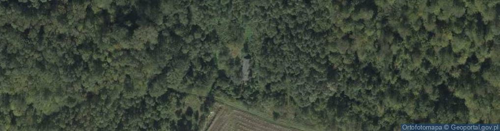 Zdjęcie satelitarne Andrzejówka ul.