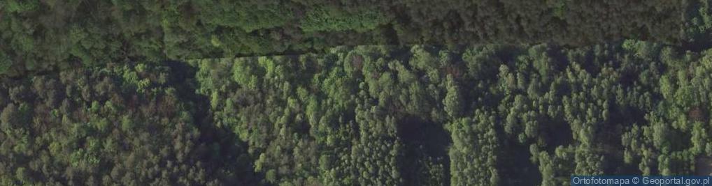 Zdjęcie satelitarne Anielin ul.