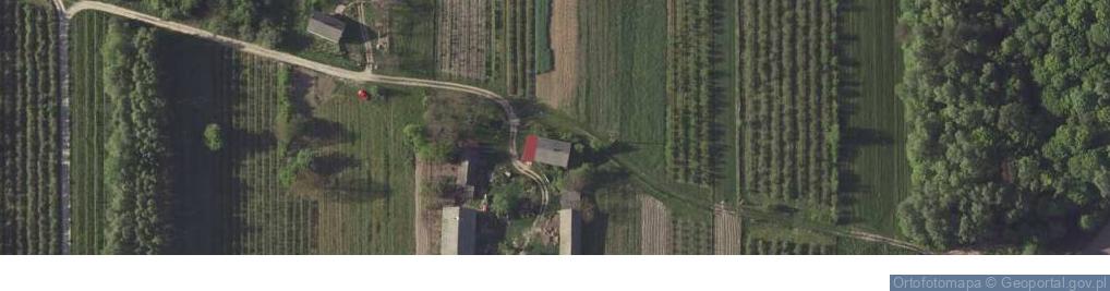 Zdjęcie satelitarne Anielin ul.