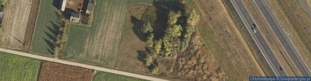 Zdjęcie satelitarne Anielin ul.