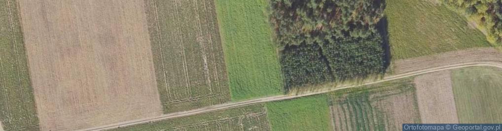 Zdjęcie satelitarne Anieliny ul.