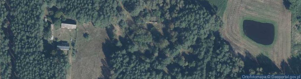 Zdjęcie satelitarne Antoniewo ul.