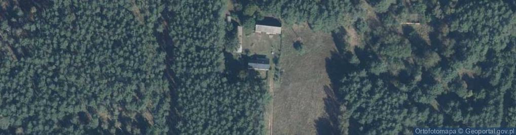 Zdjęcie satelitarne Antoniewo ul.