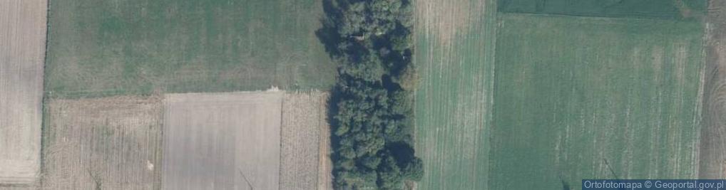 Zdjęcie satelitarne Antoniewo ul.