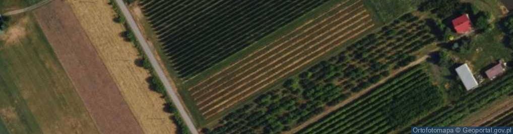 Zdjęcie satelitarne Antoninów ul.