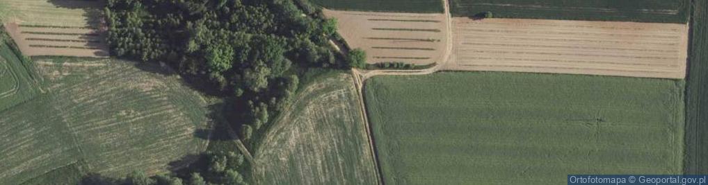 Zdjęcie satelitarne Antoniówka ul.