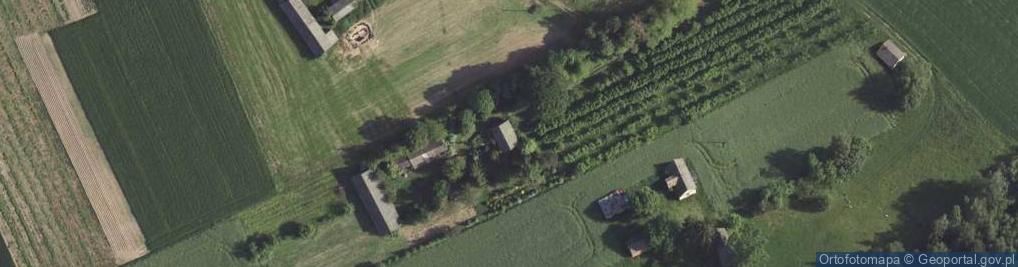 Zdjęcie satelitarne Antoniówka ul.