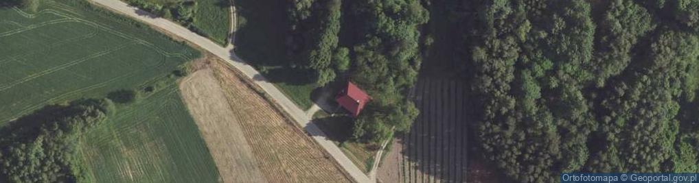 Zdjęcie satelitarne Antoniówka ul.