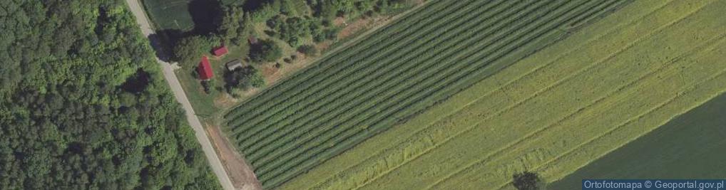 Zdjęcie satelitarne Antoniówka ul.