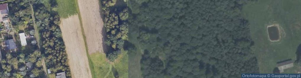 Zdjęcie satelitarne Antoniówka ul.