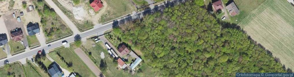 Zdjęcie satelitarne Andersa Władysława, gen. ul.