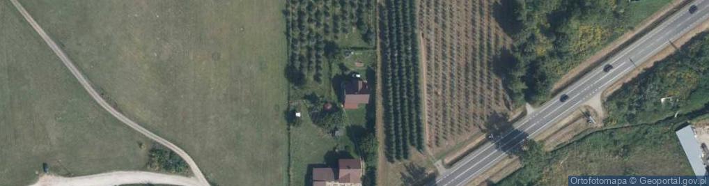 Zdjęcie satelitarne Angielska ul.