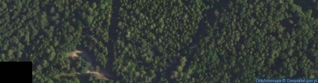 Zdjęcie satelitarne Andromedy ul.