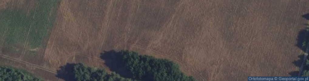 Zdjęcie satelitarne Antyczna ul.