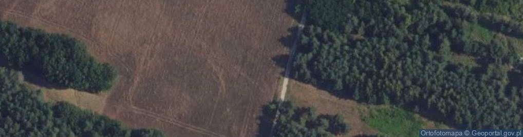 Zdjęcie satelitarne Antyczna ul.