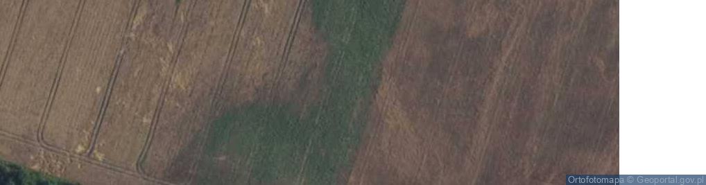 Zdjęcie satelitarne Antyczna ul.