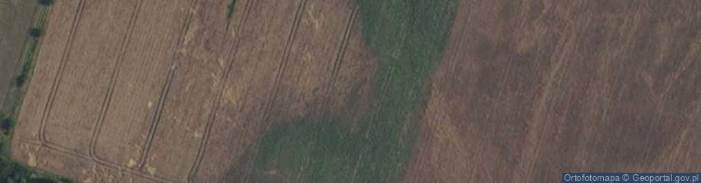 Zdjęcie satelitarne Antyczna ul.