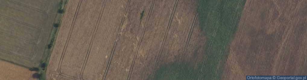 Zdjęcie satelitarne Antyczna ul.