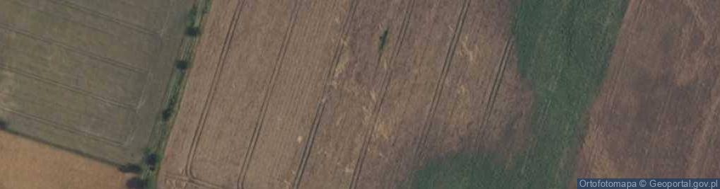 Zdjęcie satelitarne Antyczna ul.