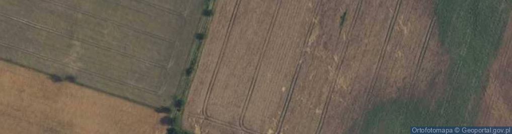 Zdjęcie satelitarne Antyczna ul.