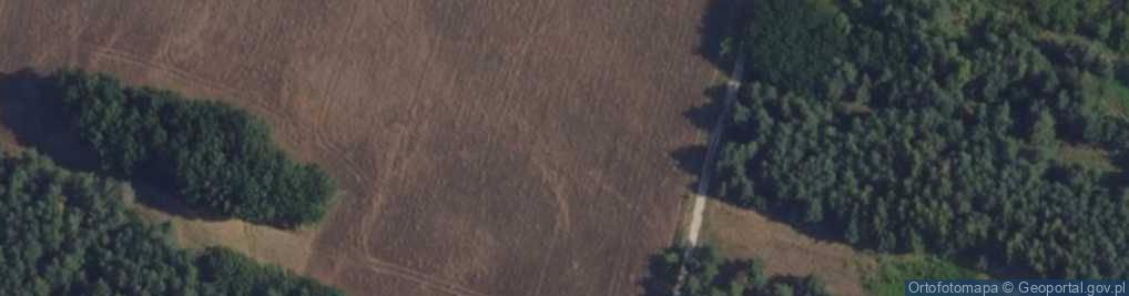 Zdjęcie satelitarne Antyczna ul.