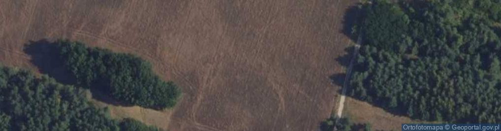 Zdjęcie satelitarne Antyczna ul.