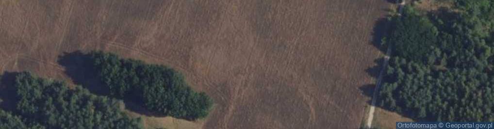 Zdjęcie satelitarne Antyczna ul.