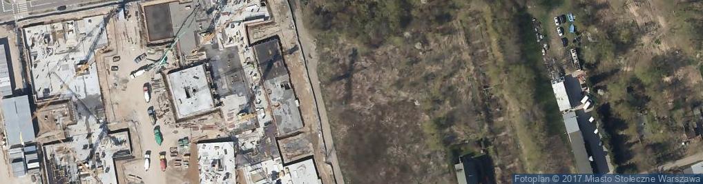 Zdjęcie satelitarne Ananasowa ul.