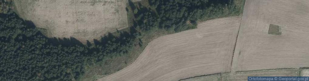 Zdjęcie satelitarne Armii Krajowej ul.