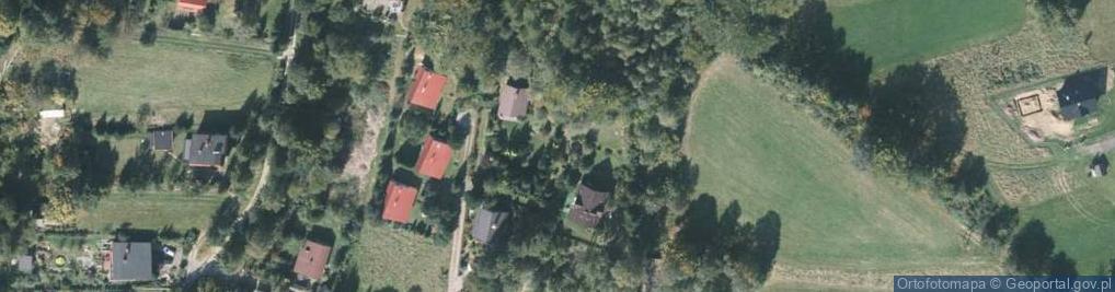 Zdjęcie satelitarne Armii Krajowej ul.