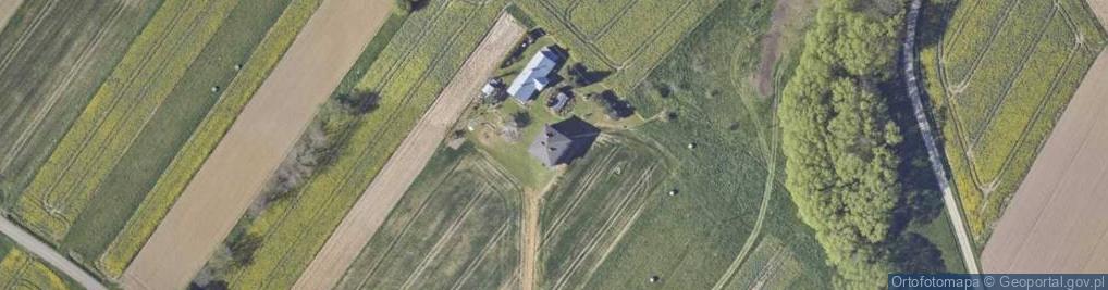 Zdjęcie satelitarne Armii Krajowej ul.