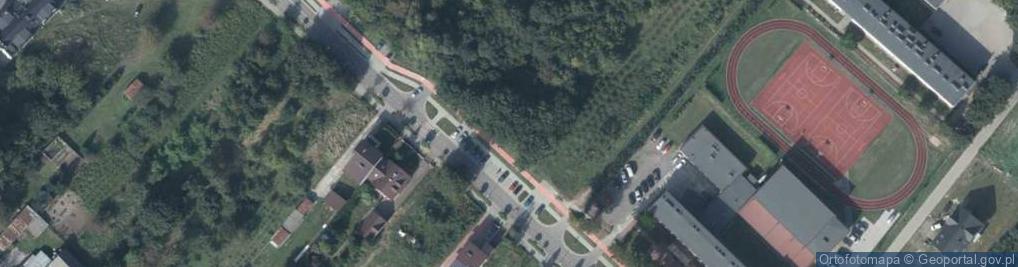 Zdjęcie satelitarne Armii Krajowej ul.