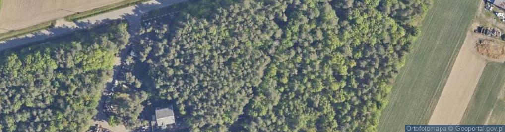 Zdjęcie satelitarne Armii Krajowej ul.