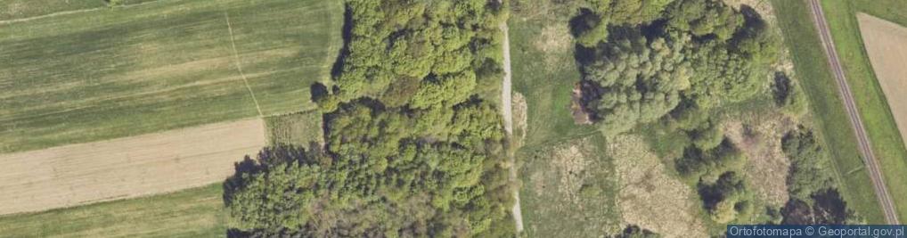 Zdjęcie satelitarne Armii Krajowej ul.