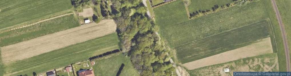 Zdjęcie satelitarne Armii Krajowej ul.