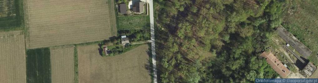 Zdjęcie satelitarne Armii Krajowej ul.