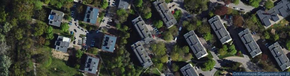 Zdjęcie satelitarne Armii Krajowej ul.