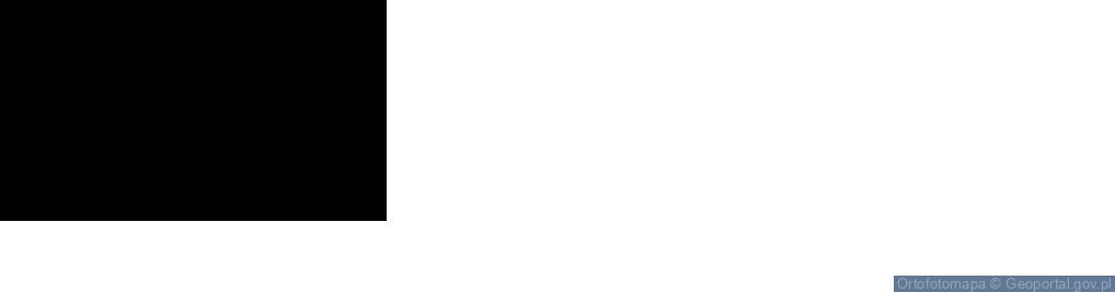 Zdjęcie satelitarne Armii Krajowej ul.