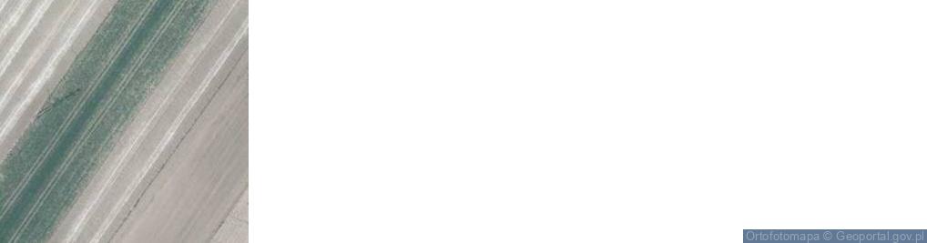 Zdjęcie satelitarne Asnyka Adama ul.