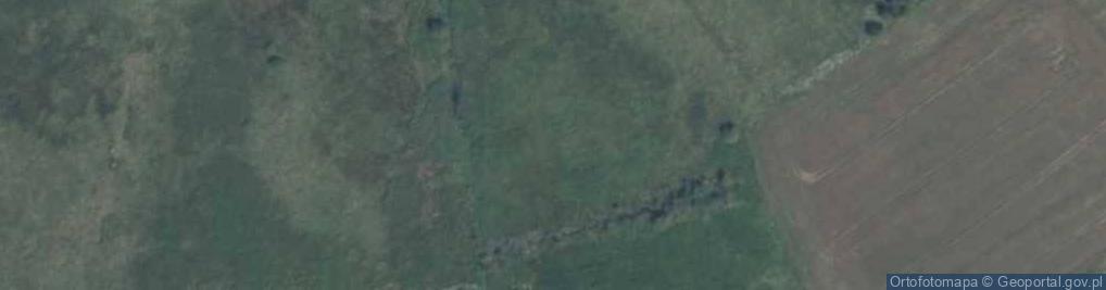 Zdjęcie satelitarne Astrów ul.