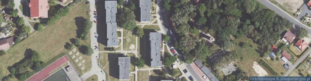 Zdjęcie satelitarne Asnyka Adama ul.