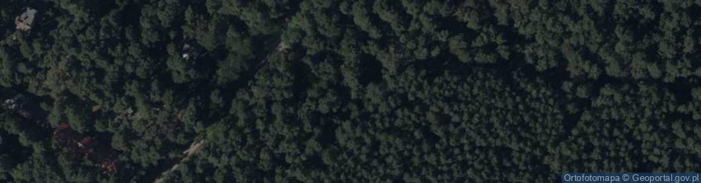 Zdjęcie satelitarne Asnyka Adama ul.