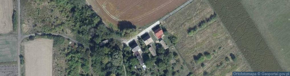 Zdjęcie satelitarne Asnyka Adama ul.