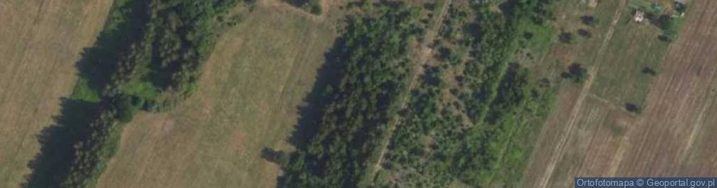 Zdjęcie satelitarne Azaliowa ul.