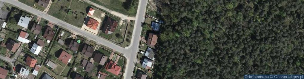 Zdjęcie satelitarne Azalii Pontyjskiej ul.