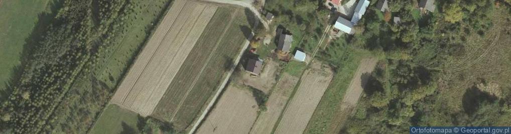 Zdjęcie satelitarne Bachórzec ul.