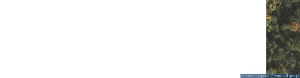 Zdjęcie satelitarne Bachórzec ul.