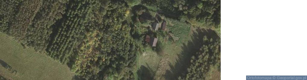 Zdjęcie satelitarne Bachórzec ul.