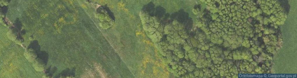 Zdjęcie satelitarne Barzykowo ul.